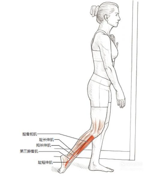 制定篮球交流计划以促进个人技能发展的方法_2